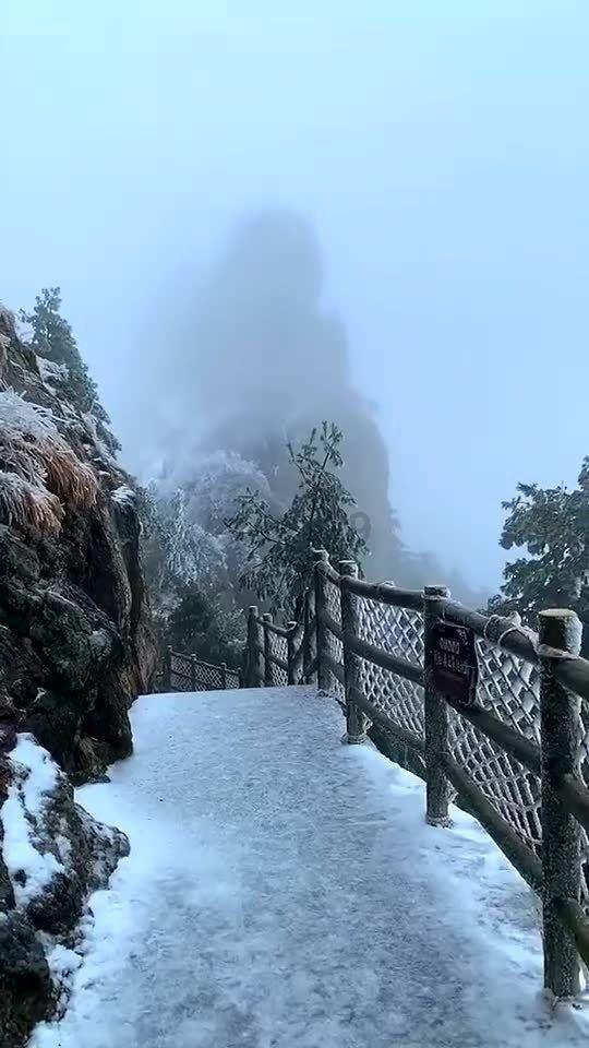 女巫的约定