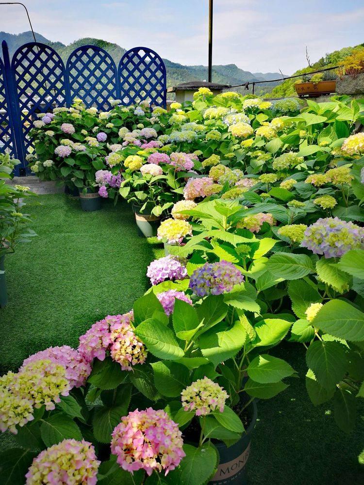 魔法季节沉睡大地