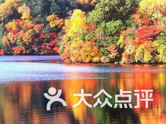 球球大作战下载最新版