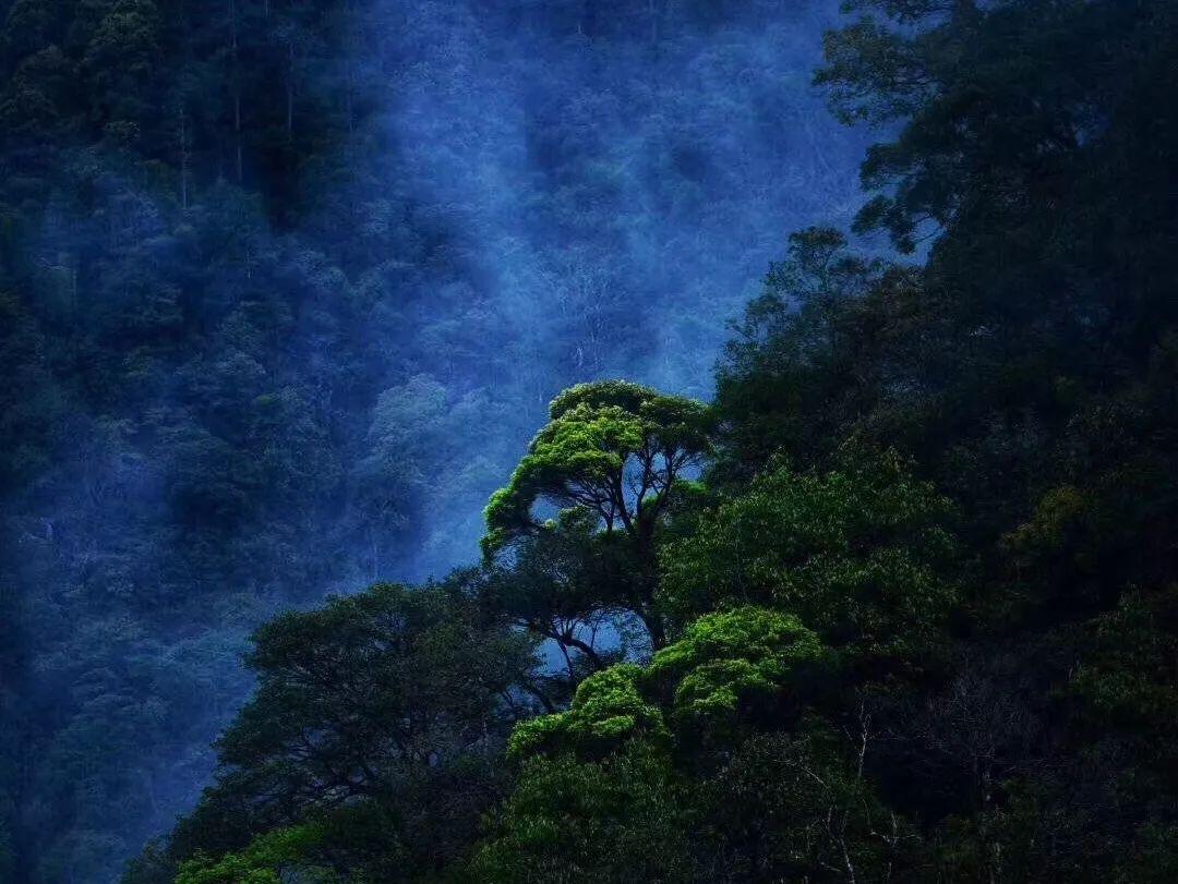 除鬼师