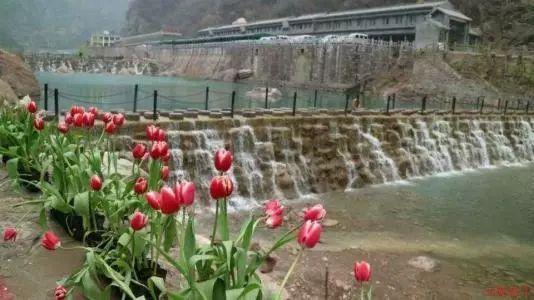 玉树州治多县副县长刘国辉接受审查调查