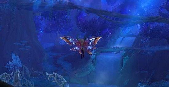 加入附近哪里可以补办异地身份证?,探索知识星球的精彩内容