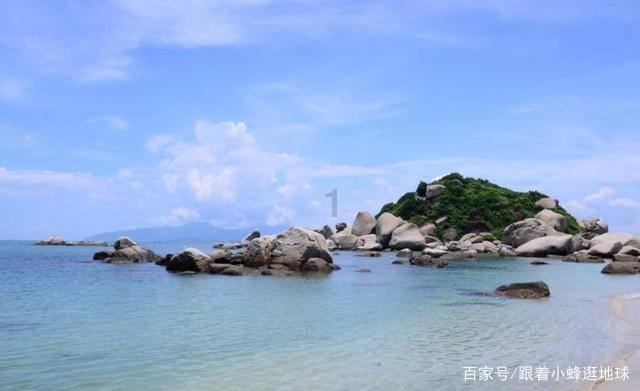 勿忘我