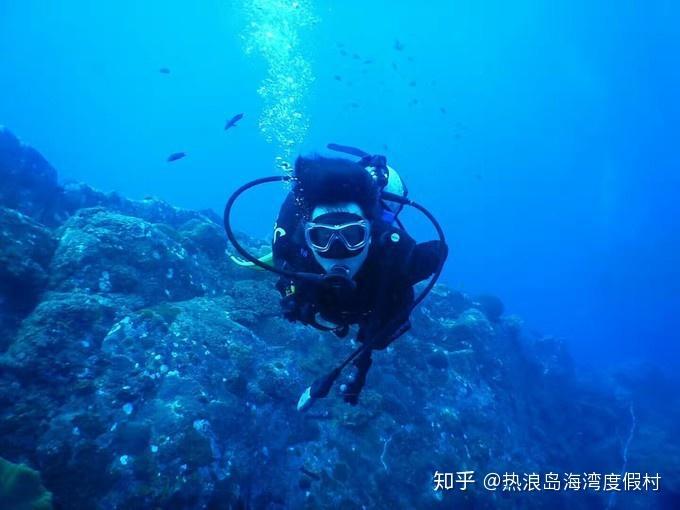午时的猎人无敌版
