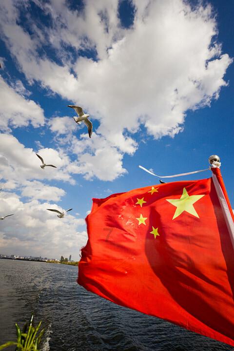 虫虫助手下载
