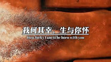 圣铠传说