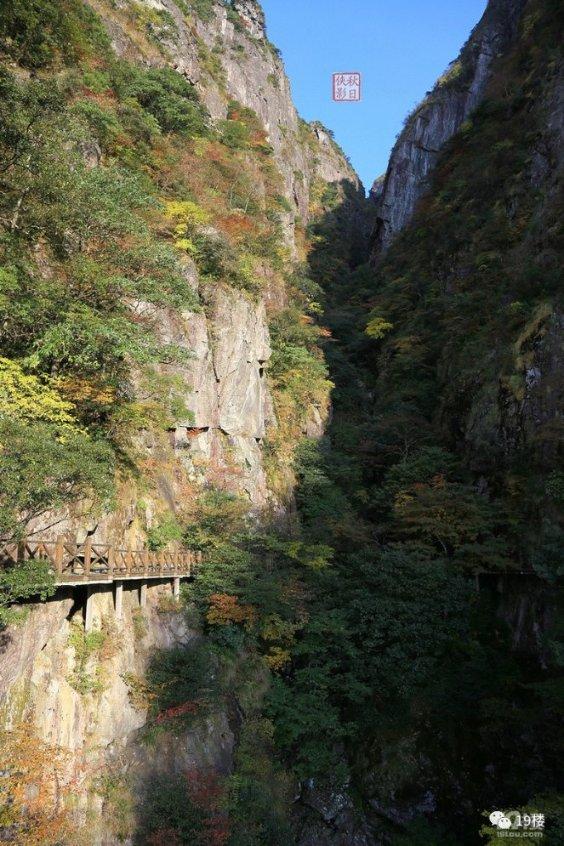 逃出奶油苹果屋
