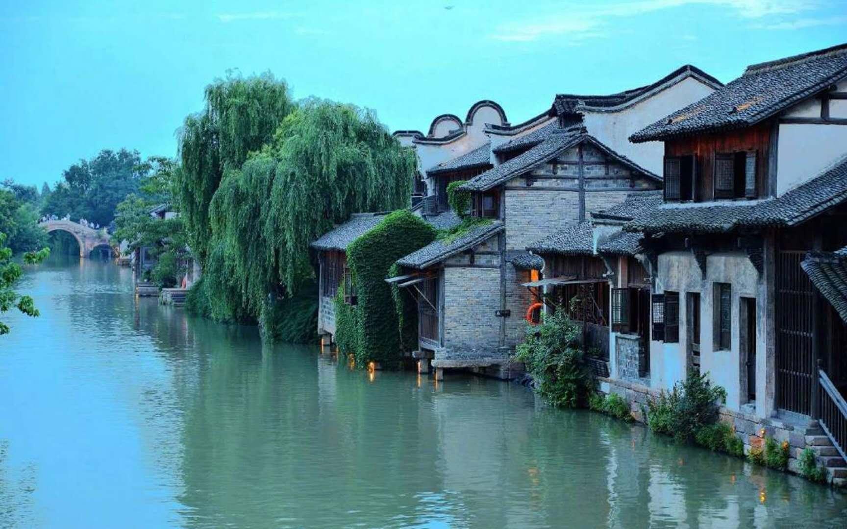 动物帮帮忙保卫家园